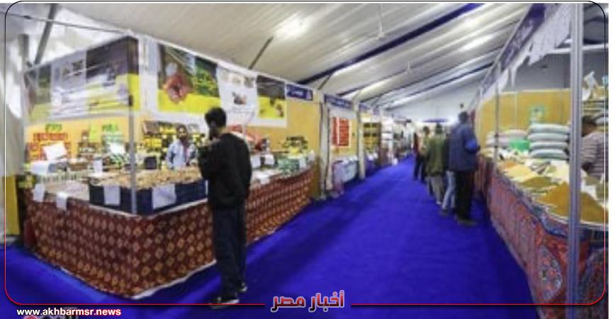 أخبار مصر 2050