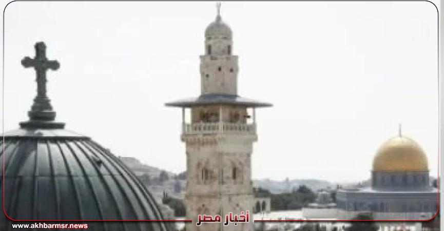 أخبار مصر 2050