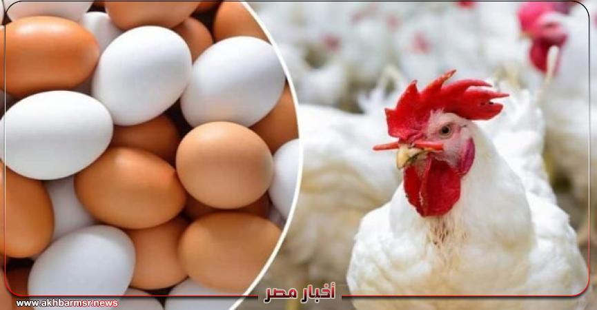 أخبار مصر 2050