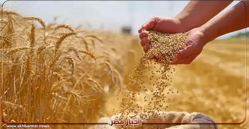 أخبار مصر 2050