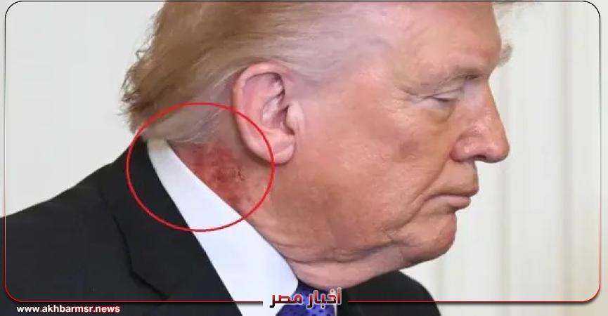 أخبار مصر 2050