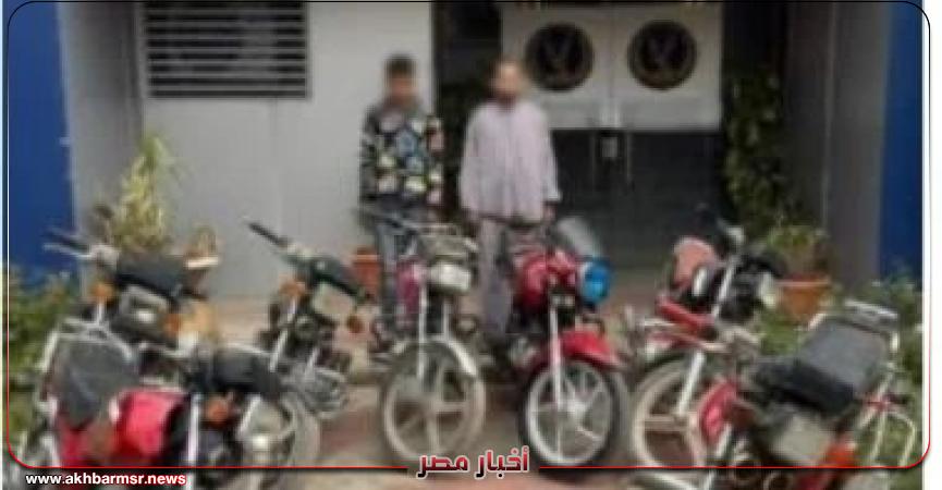 أخبار مصر 2050