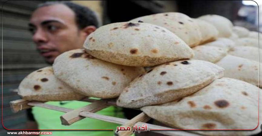 أخبار مصر 2050