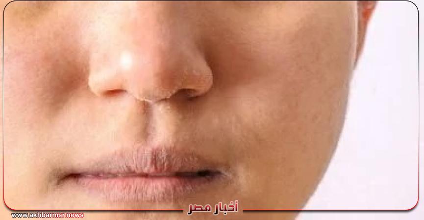 أخبار مصر 2050