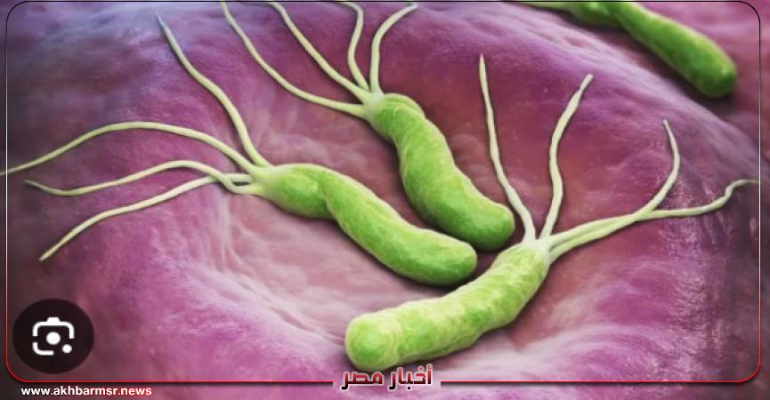 أخبار مصر 2050