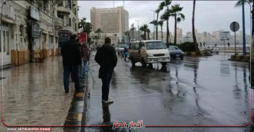 أخبار مصر 2050