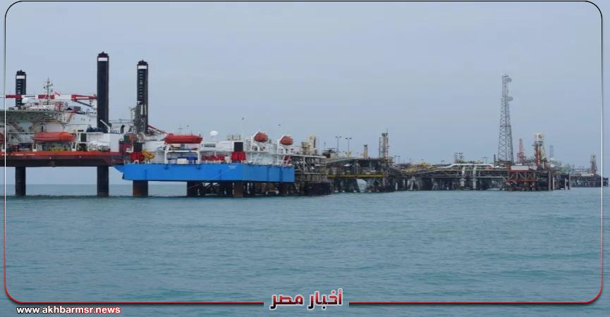 أخبار مصر 2050