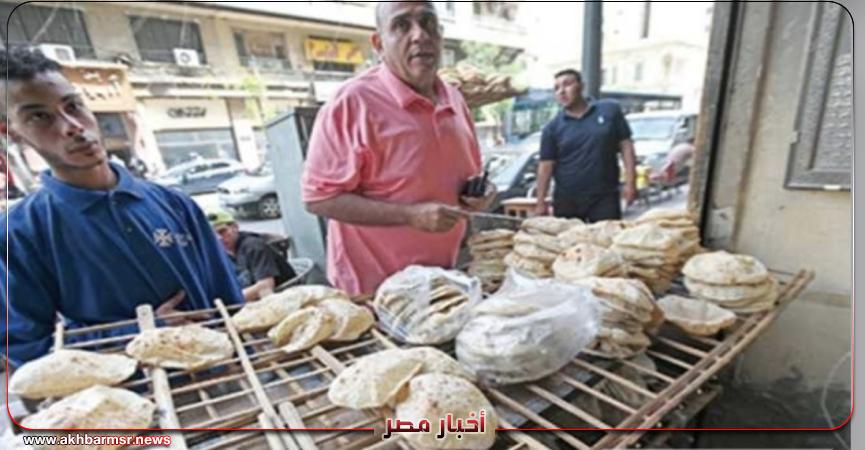 أخبار مصر 2050