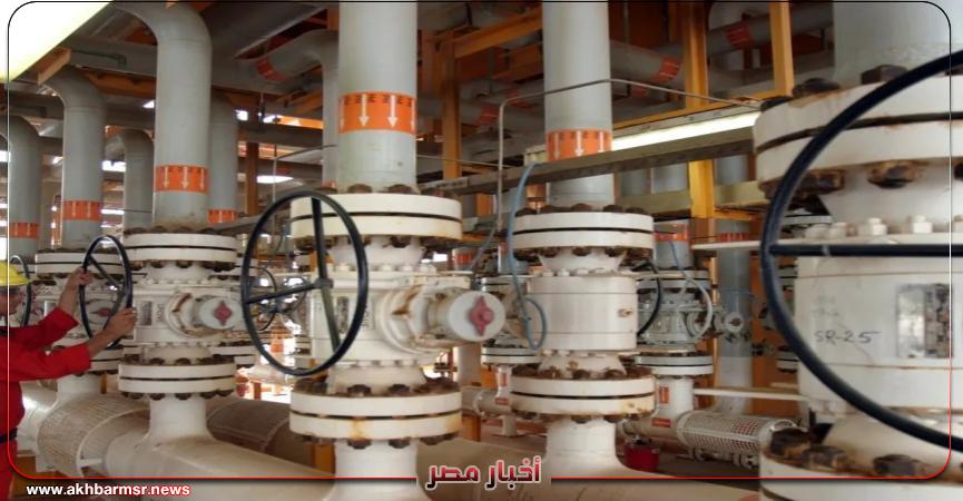 أخبار مصر 2050