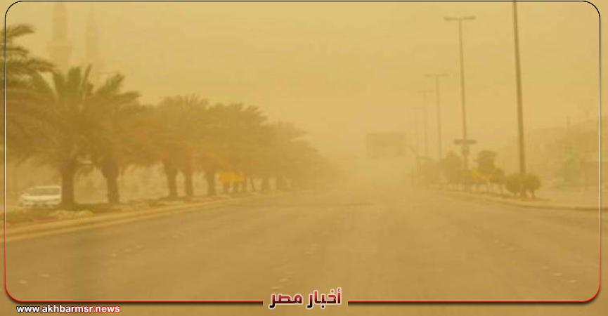 أخبار مصر 2050