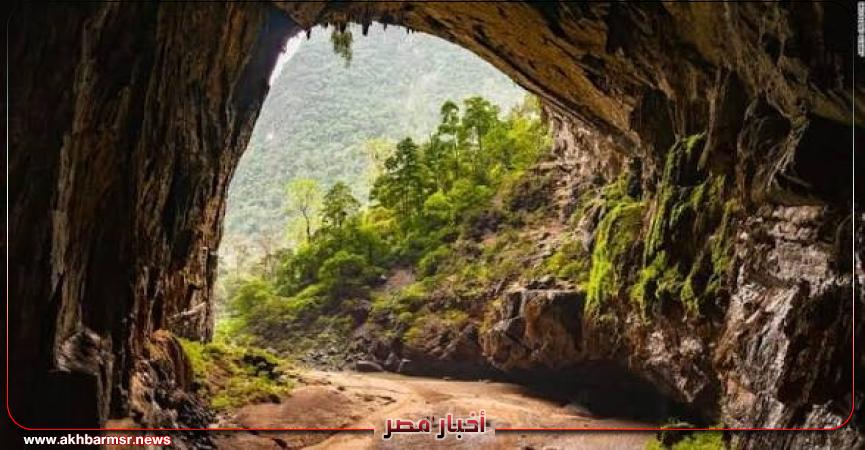 أخبار مصر 2050