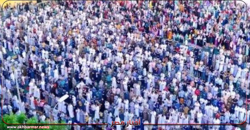 أخبار مصر 2050