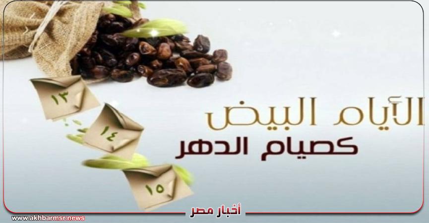 أخبار مصر 2050