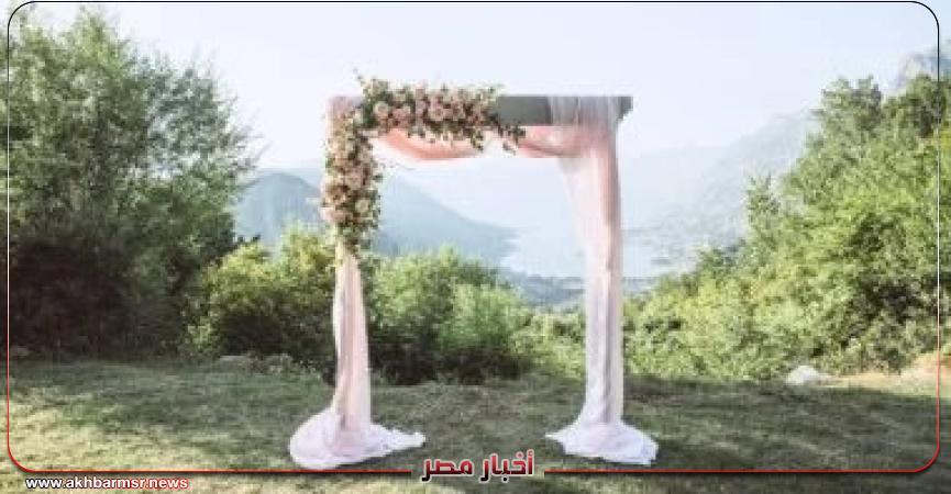 أخبار مصر 2050