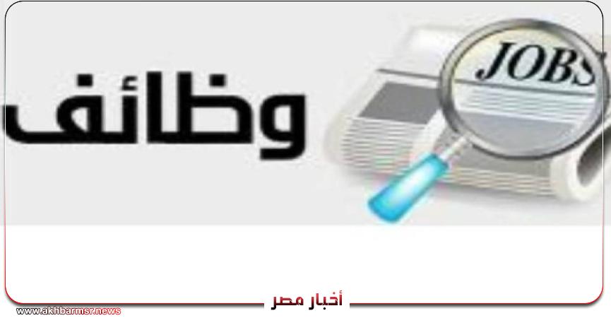 أخبار مصر 2050