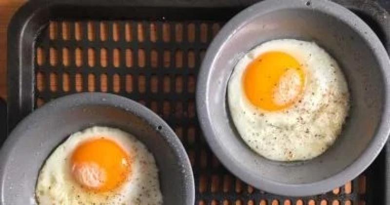 كيف يؤثر تناول البيض على مستوى الكوليسترول لديكش