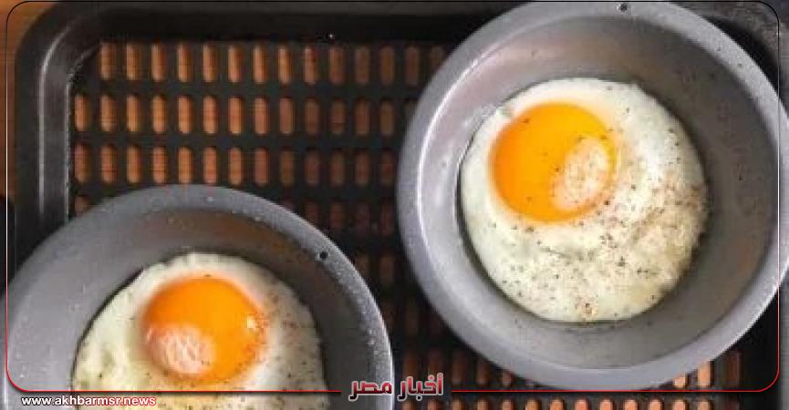 أخبار مصر 2050