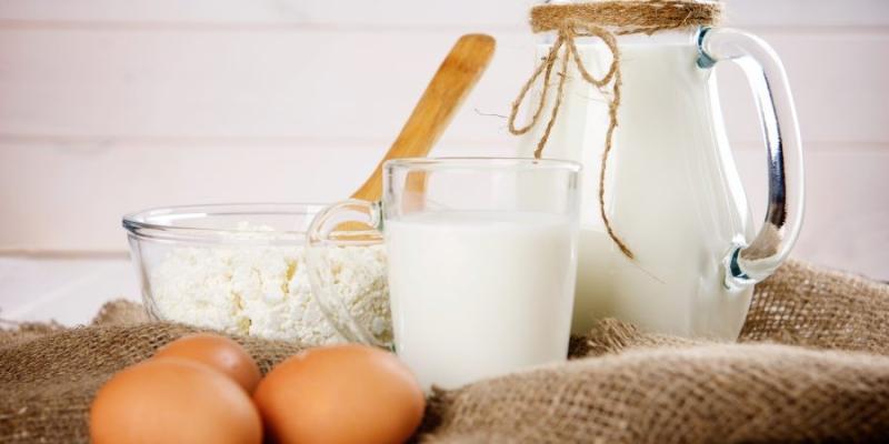 أسعار البيض والألبان في الأسواق