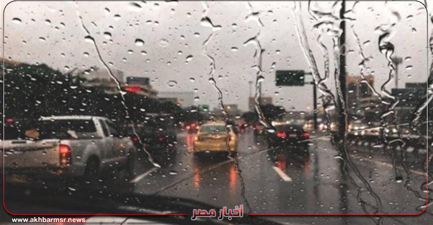 أخبار مصر 2050