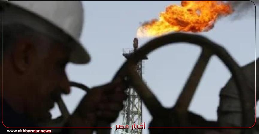 أخبار مصر 2050