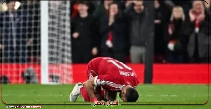 أخبار مصر 2050