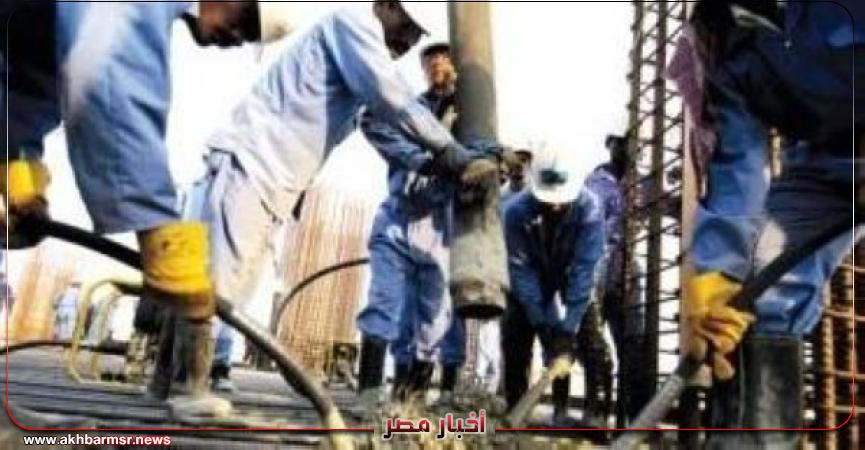 أخبار مصر 2050