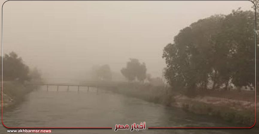 أخبار مصر 2050