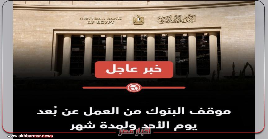 أخبار مصر 2050