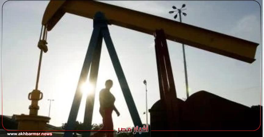 أخبار مصر 2050