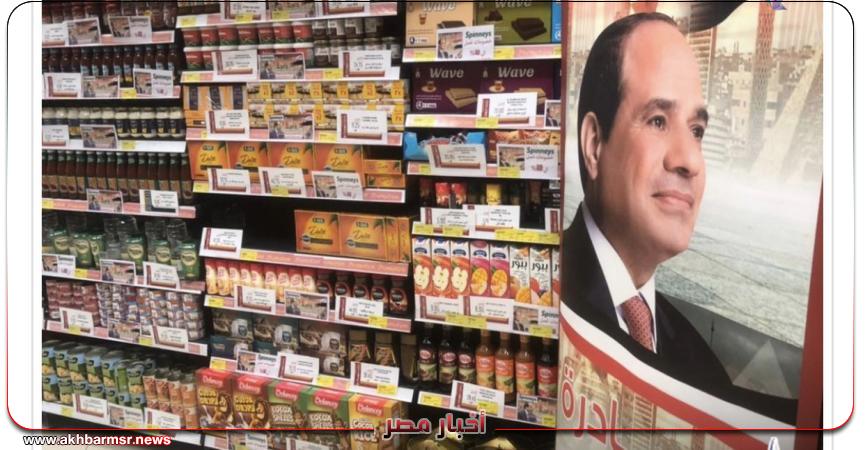 أخبار مصر 2050