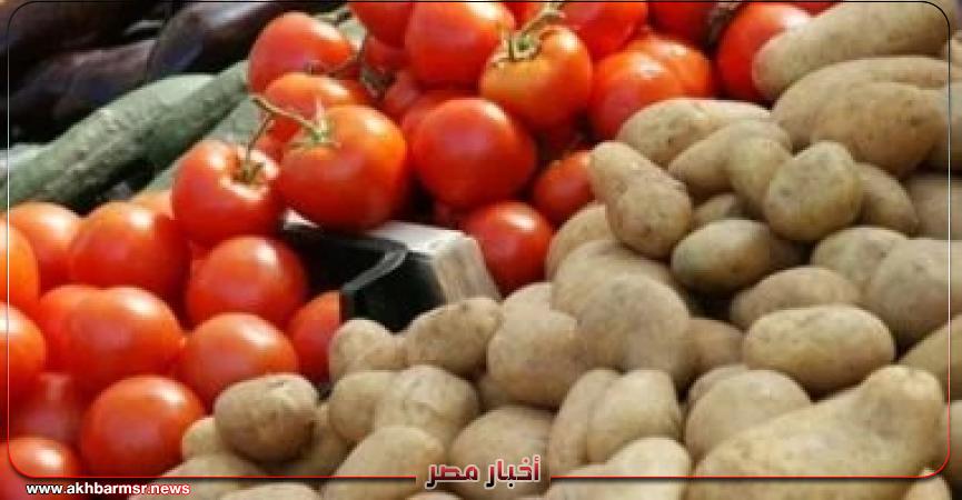 أخبار مصر 2050