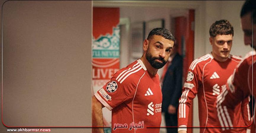 أخبار مصر 2050