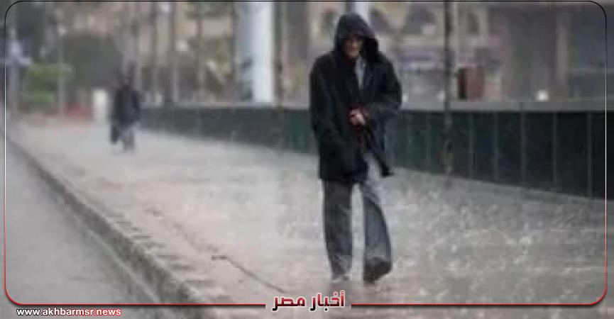 أخبار مصر 2050