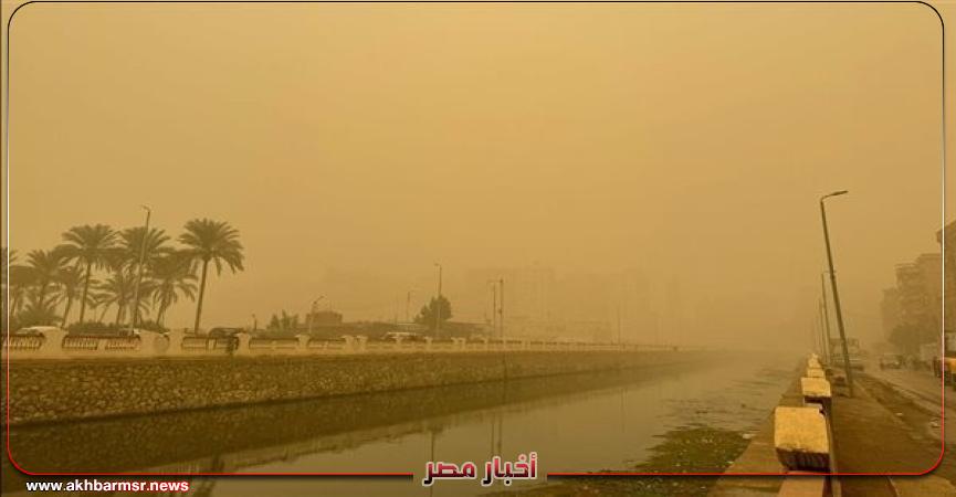 أخبار مصر 2050