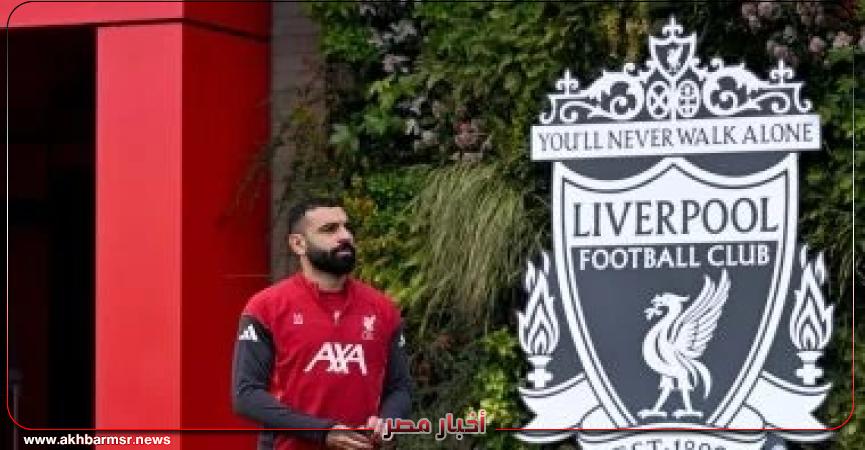 أخبار مصر 2050