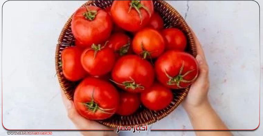 أخبار مصر 2050