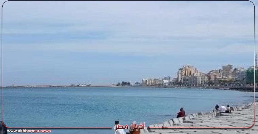 أخبار مصر 2050