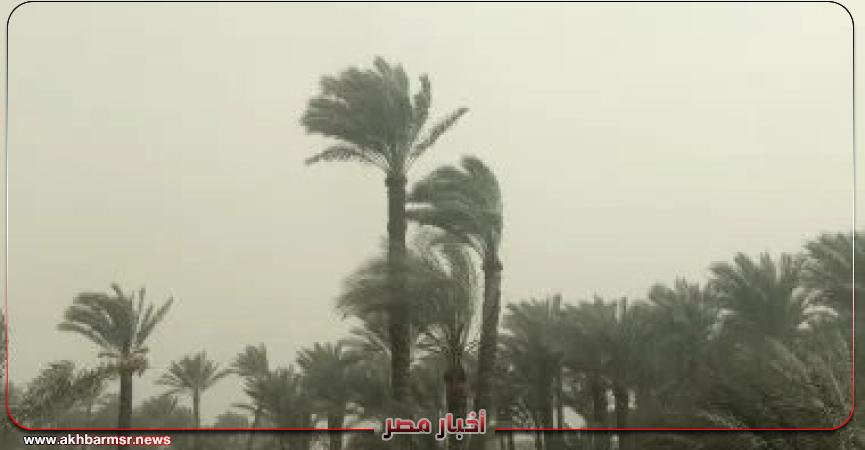 أخبار مصر 2050