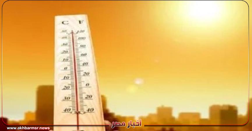 أخبار مصر 2050