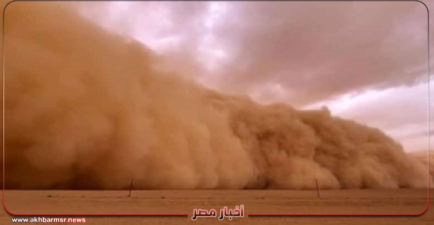 أخبار مصر 2050