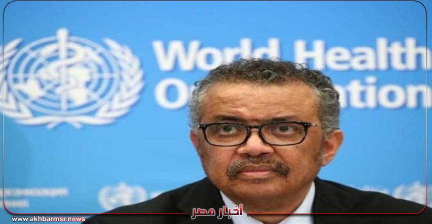 أخبار مصر 2050