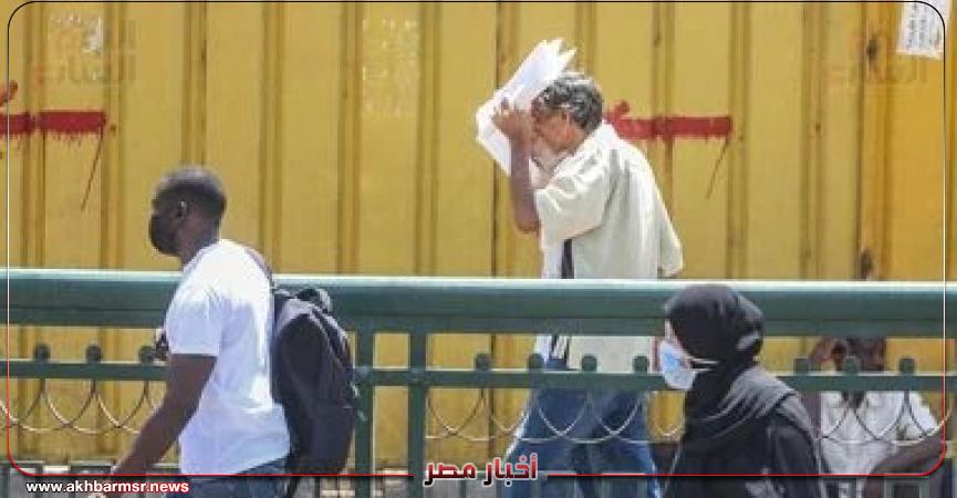 أخبار مصر 2050