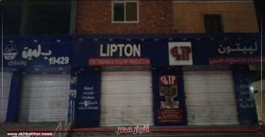 أخبار مصر 2050