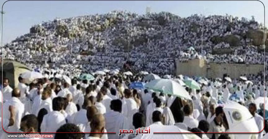 أخبار مصر 2050