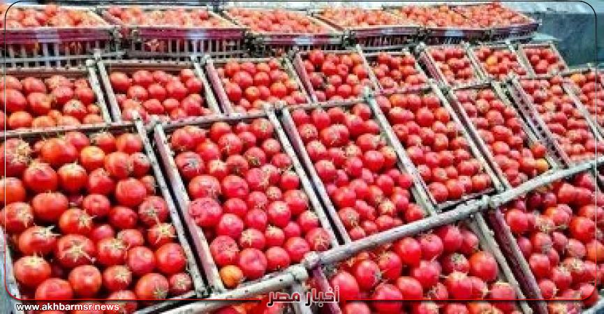 أخبار مصر 2050