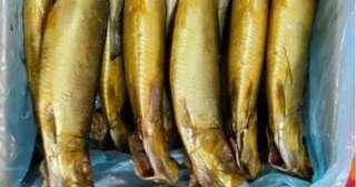 فتح منافذ المجمعات الاستهلاكية غدا خلال شم النسيم لطرح الرنجة والأسماك فتح منافذ المجمعات الاستهلاكية غدا خلال شم النسيم لطرح الرنجة والأسماك