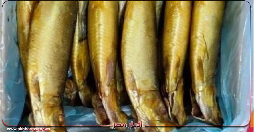 أخبار مصر 2050