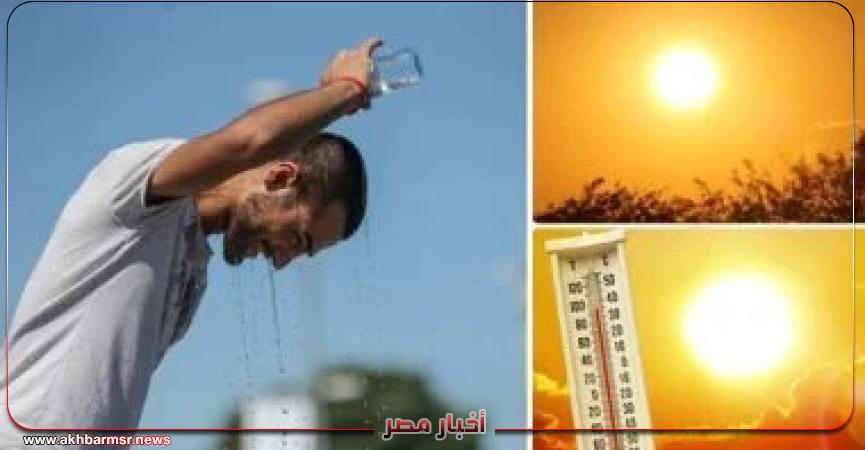 أخبار مصر 2050