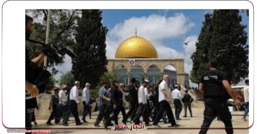 أخبار مصر 2050