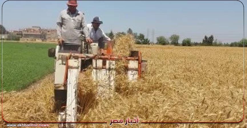 أخبار مصر 2050